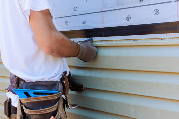 Affordable Siding Repair solutions in Lyons, IL